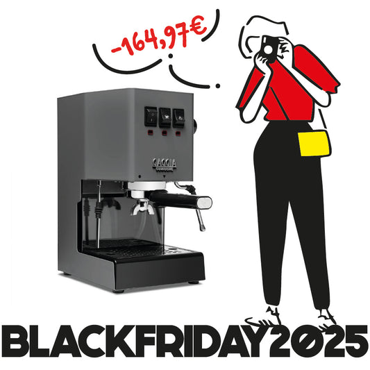 Gaggia CLASSIC E24 Industrial Gray - Color Vibes 